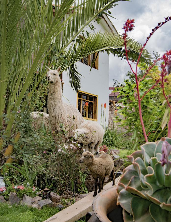 Inkita Boutique Guesthouse Cusco Ngoại thất bức ảnh