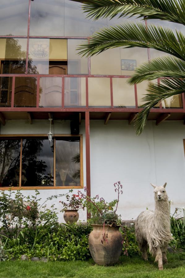 Inkita Boutique Guesthouse Cusco Ngoại thất bức ảnh